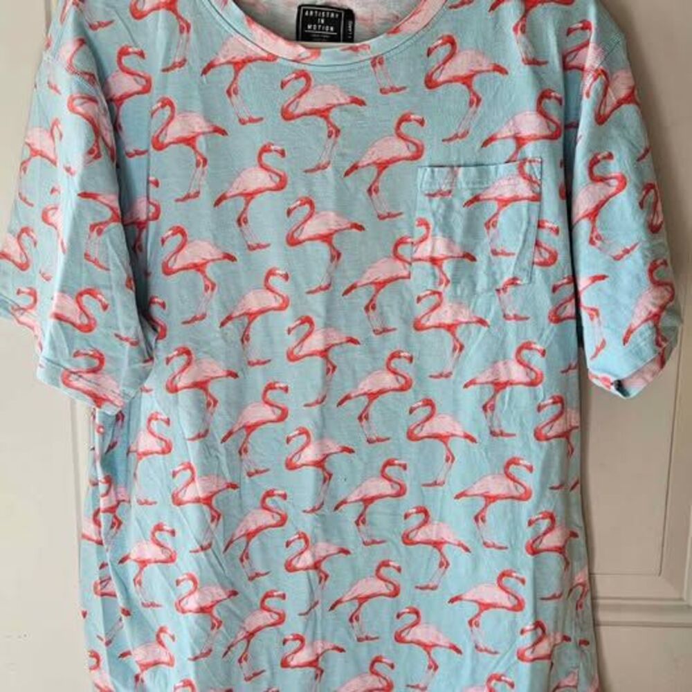 Artistry in Motion Mens Flamingo tshirt Sz‎ XL